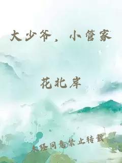 大少爺，小管家