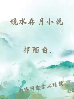 鏡水存月小說
