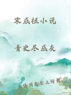 宋成祖小說