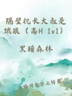 隔壁機(jī)長(zhǎng)大叔是餓狼（高H 1v1）