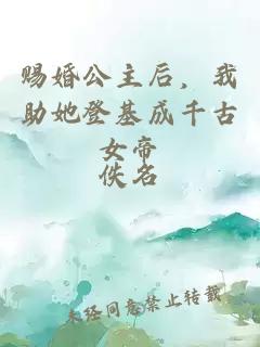 賜婚公主后，我助她登基成千古女帝