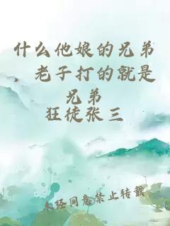 什么他娘的兄弟，老子打的就是兄弟