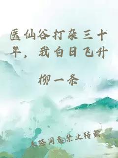 醫(yī)仙谷打雜三十年，我白日飛升