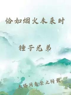 恰如煙火未來時(shí)