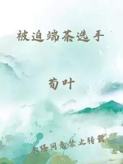 被迫端茶選手