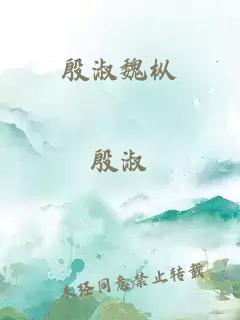 殷淑魏樅