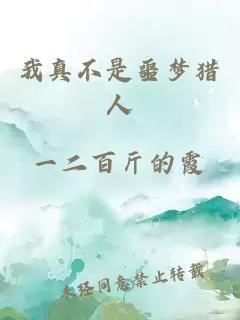 我真不是噩夢獵人