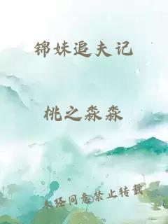 錦妹追夫記