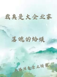 我真是大企業(yè)家