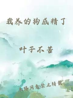 我養(yǎng)的狗成精了