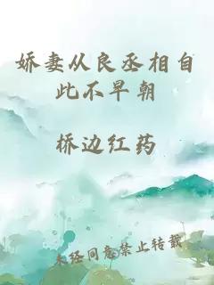 嬌妻從良丞相自此不早朝
