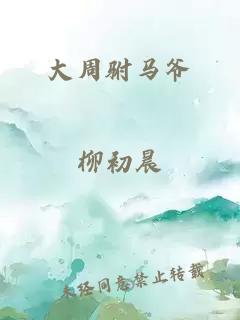 大周駙馬爺