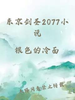東京劍圣2077小說