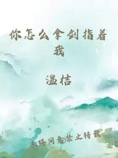 你怎么拿劍指著我