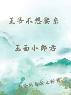 王爺不想娶親 玉面小郎君