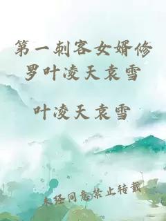 第一刺客女婿修羅葉凌天袁雪