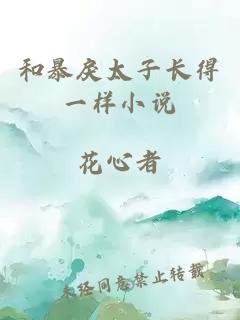 和暴戾太子長得一樣小說
