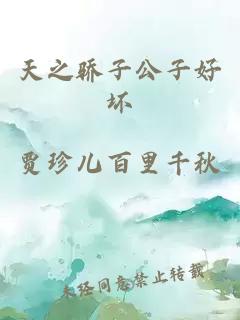 天之驕子公子好壞