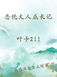 總統(tǒng)大人成長記