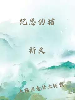 紀(jì)總的貓