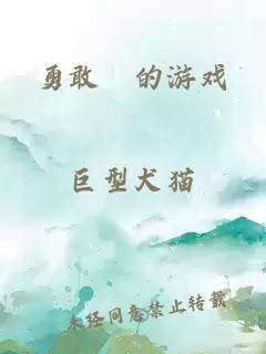勇敢屄的游戲
