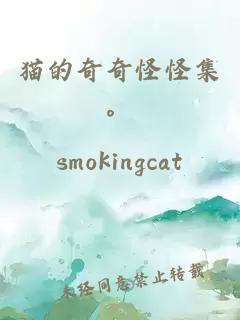 貓的奇奇怪怪集。