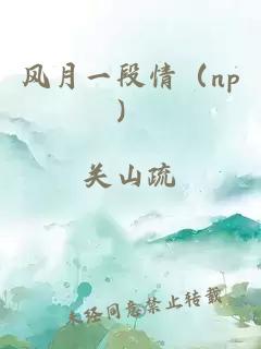 風(fēng)月一段情（np）
