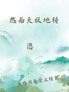 然而天旋地轉(zhuǎn)