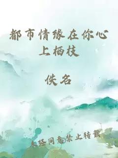 都市情緣在你心上棲枝