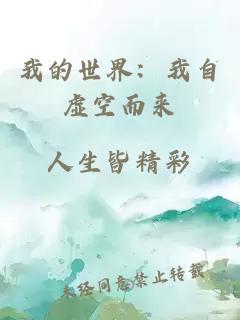 我的世界：我自虛空而來