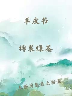 羊皮書