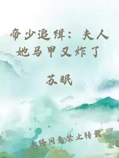 帝少追緝：夫人她馬甲又炸了