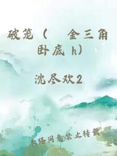 破籠（ 金三角 臥底 h）