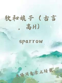 軟和娘子（古言，高H）