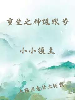 重生之神級賬號