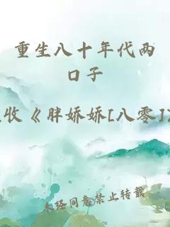 重生八十年代兩口子